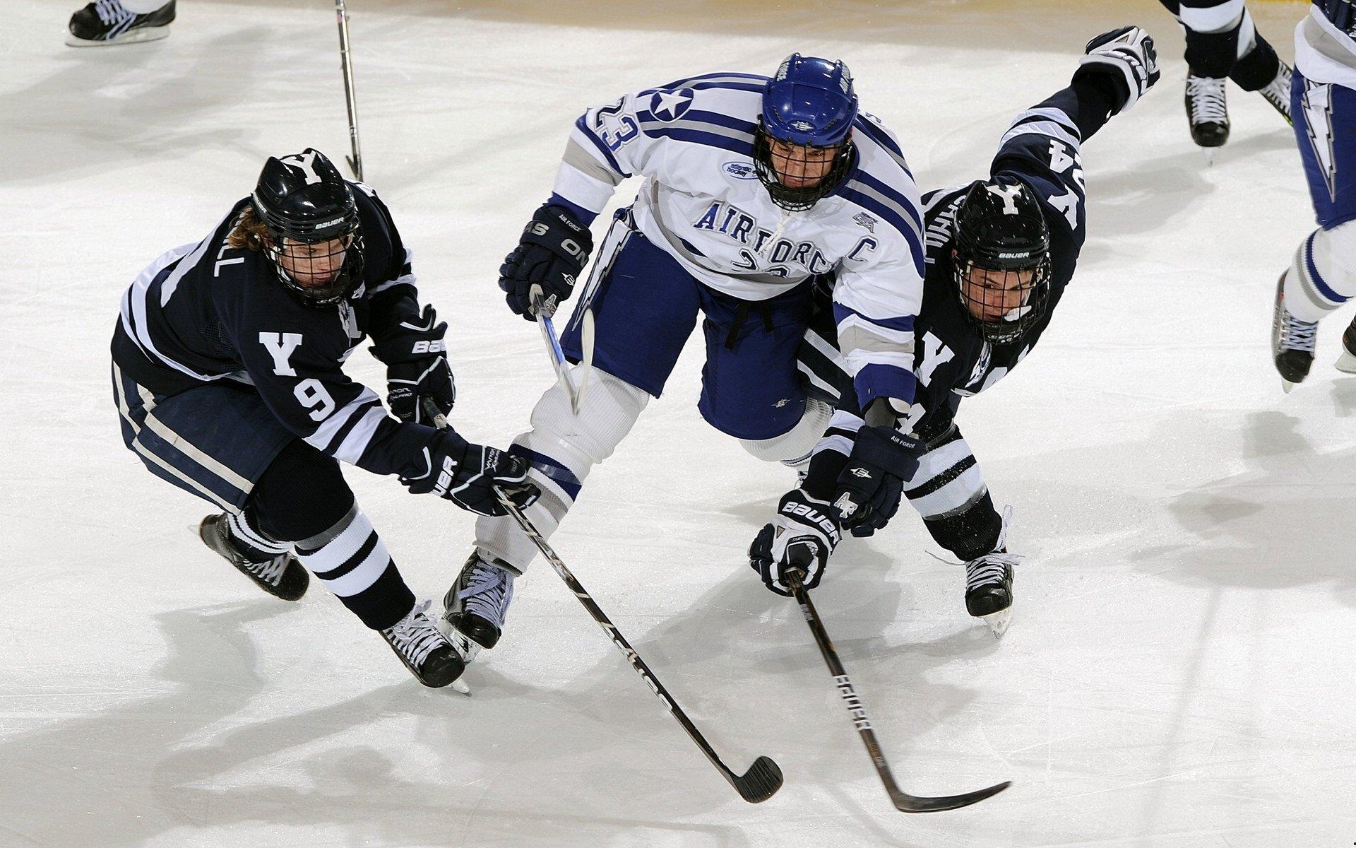 中国雪上运动队连夺三金 冬奥备战展现强劲实力